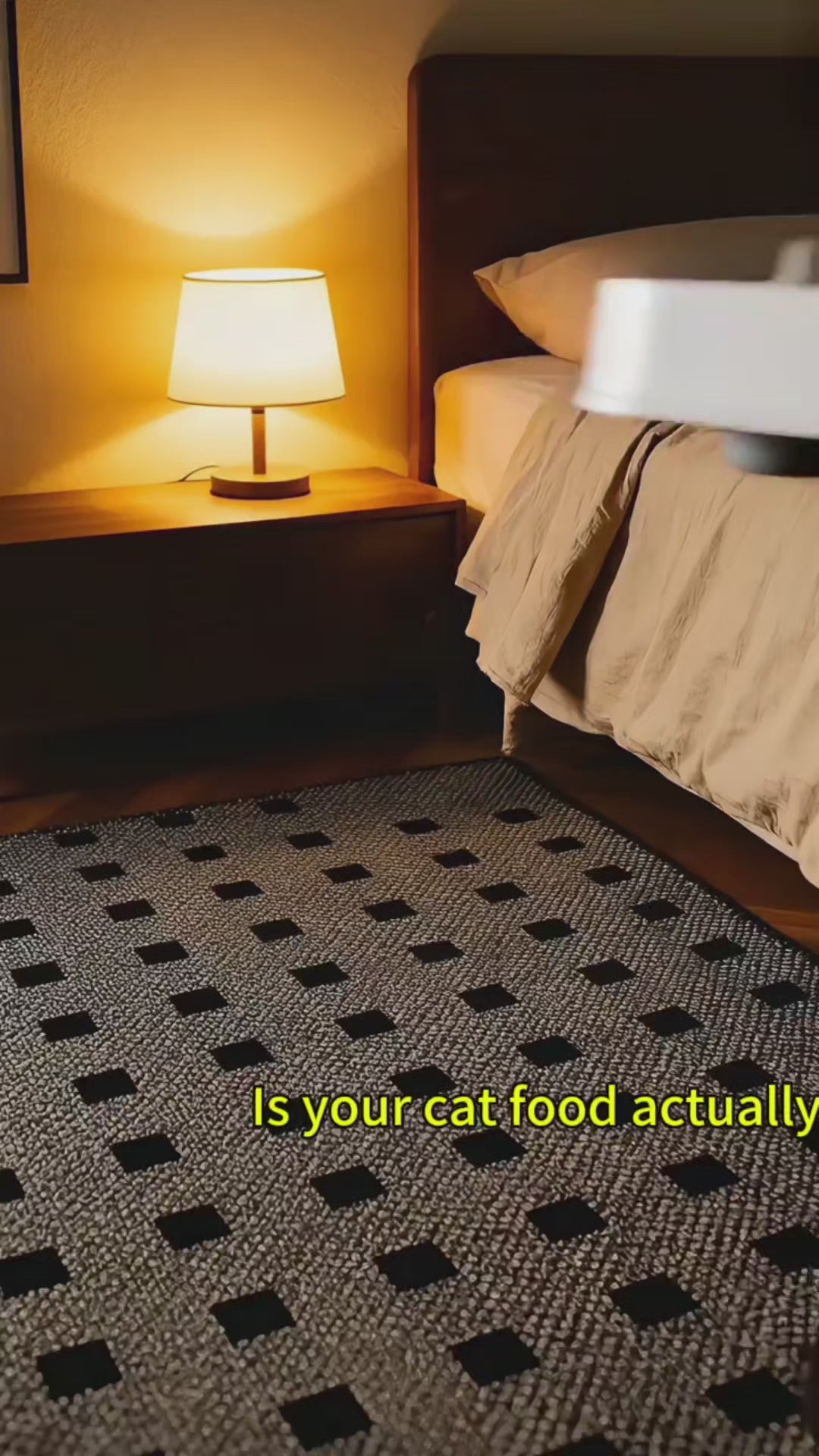 Fregate Premium Fresh Meat Cat Food – 80% Fresh Chicken & Pigeon Recipe (High Protein, Grain-Free)
Subtitle (Above the Fold):
"The closest thing to a raw diet, with the convenience of kibble. 95% digestibility for a healthier, happier cat.