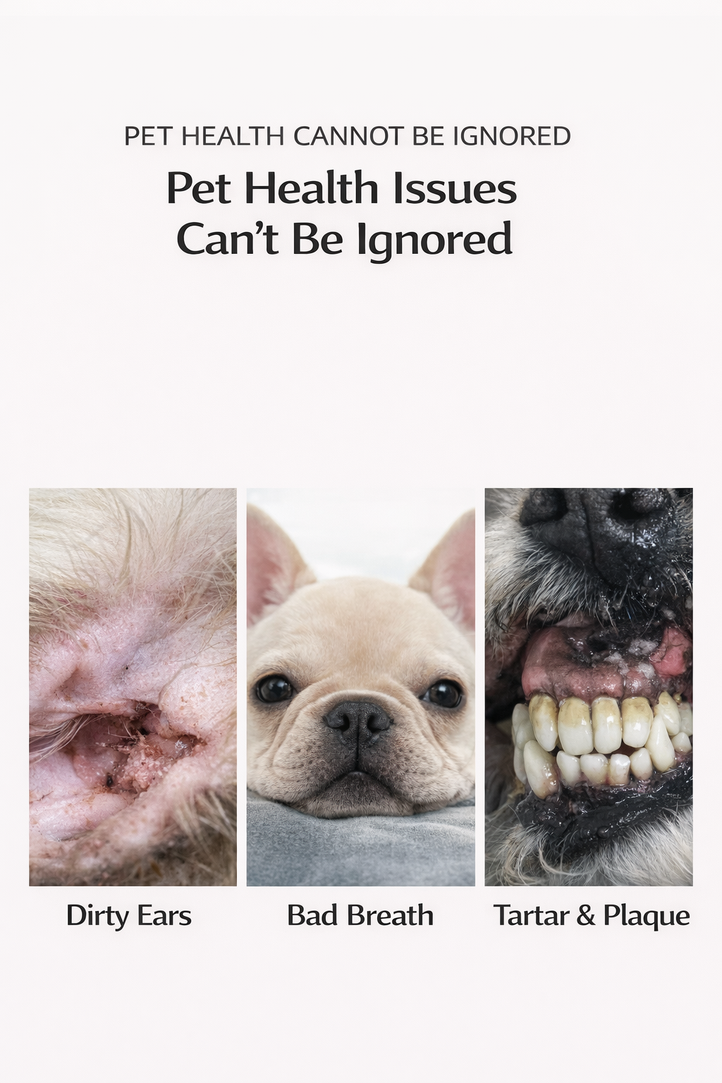 🐾 Keep Your Furry Friend Fresh & Healthy—From Ears to Teeth!
The Easiest, All-in-One Solution for Pet Hygiene.
Do you struggle with pet bad breath, stubborn earwax, or messy face stains? You’re not alone. Neglecting your pet’s hygiene can lead to pain