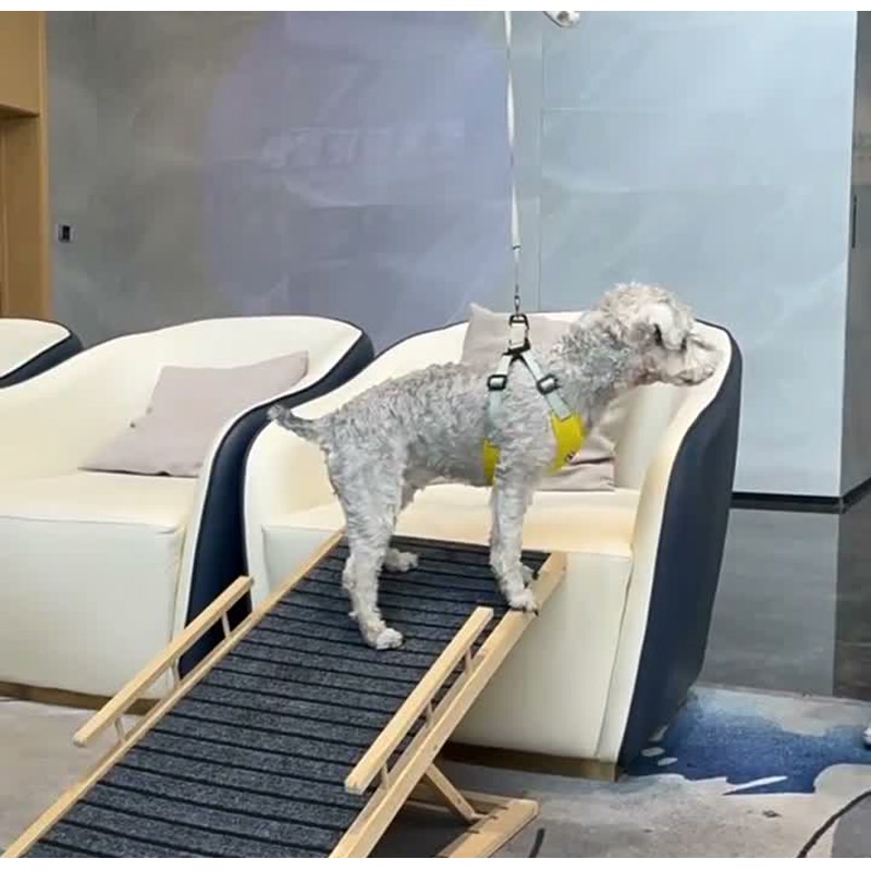 Wooden pet ramp for sofa with side rails and anti-slip carpet