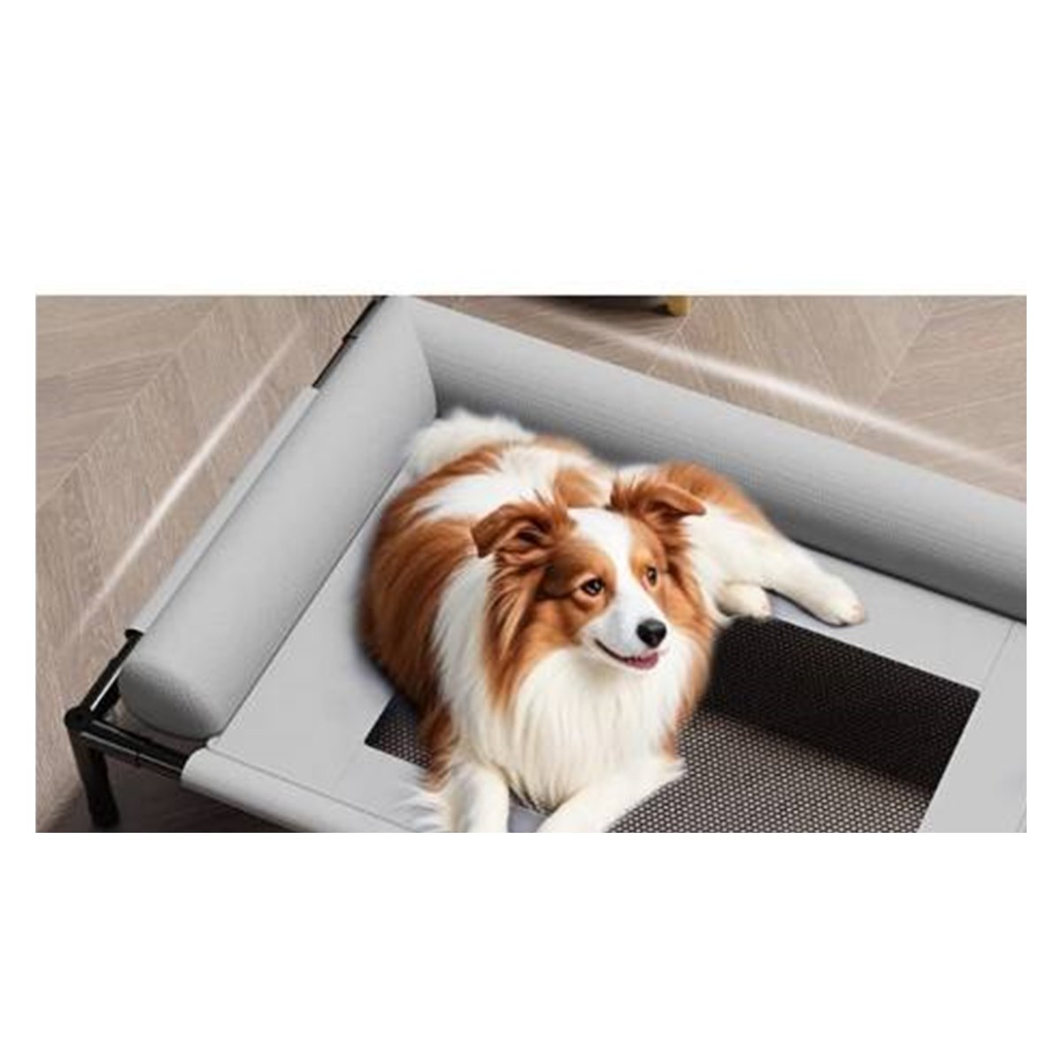 Dog resting on an elevated cooling pet cot
