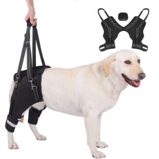 rear leg support harness for senior dogs