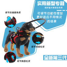 Blue blind dog halo harness anti-collision ring on small dog