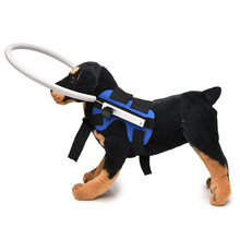 Blind dog halo harness protective ring detail