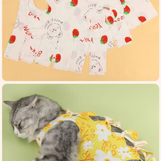 Cat wearing a soft recovery suit for post-surgery belly coverage