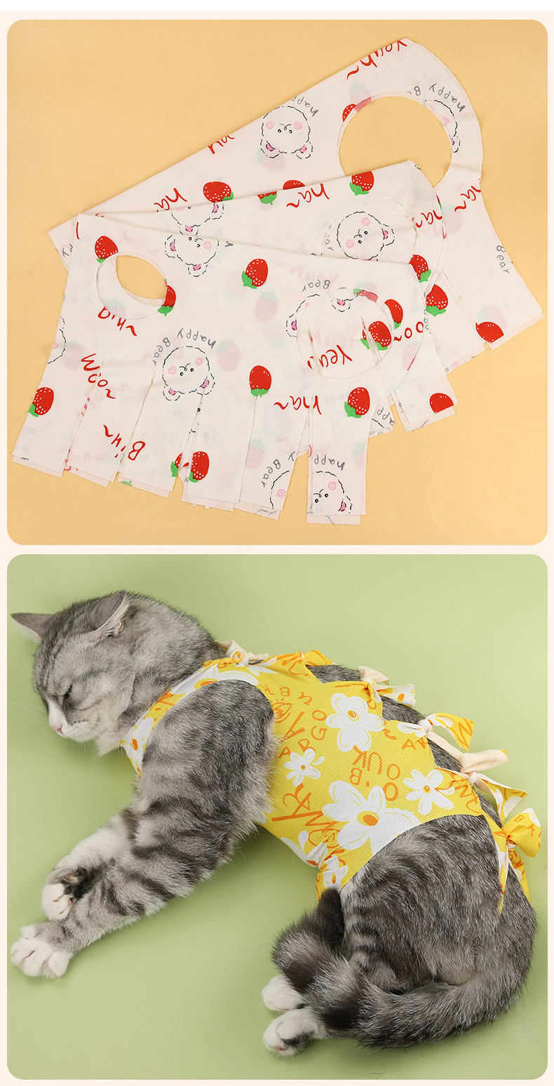Cat wearing a soft recovery suit for post-surgery belly coverage